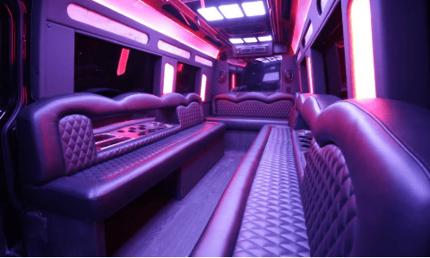 Addison 14 Passenger Sprinter Bus Interior