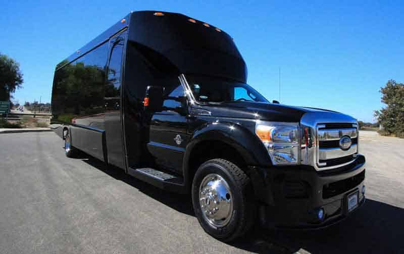 Addison 30 Passenger Party Bus Black