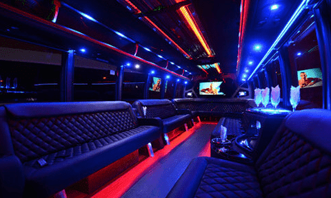 Addison 30 Passenger Party Bus Black Interior